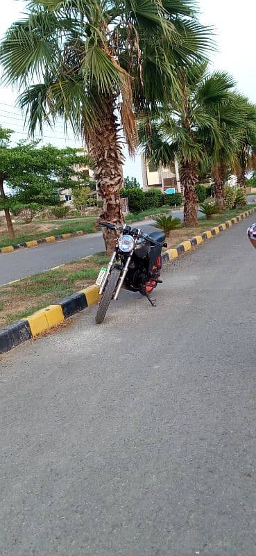 200 cc custom made bike 11