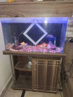 aquarium for sale with out fish