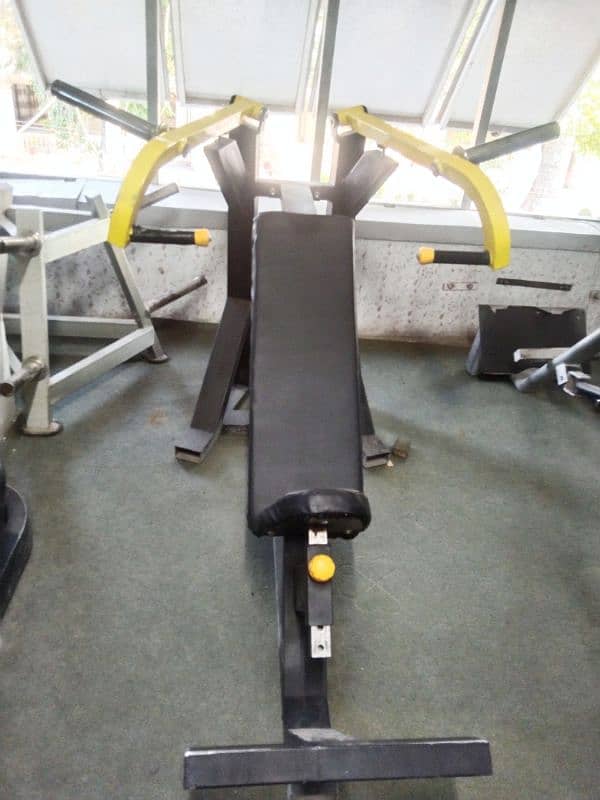 leg press, rowing, preacher curl, butter fly machine hyper extension 12