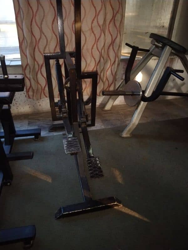 leg press, rowing, preacher curl, butter fly machine hyper extension 14