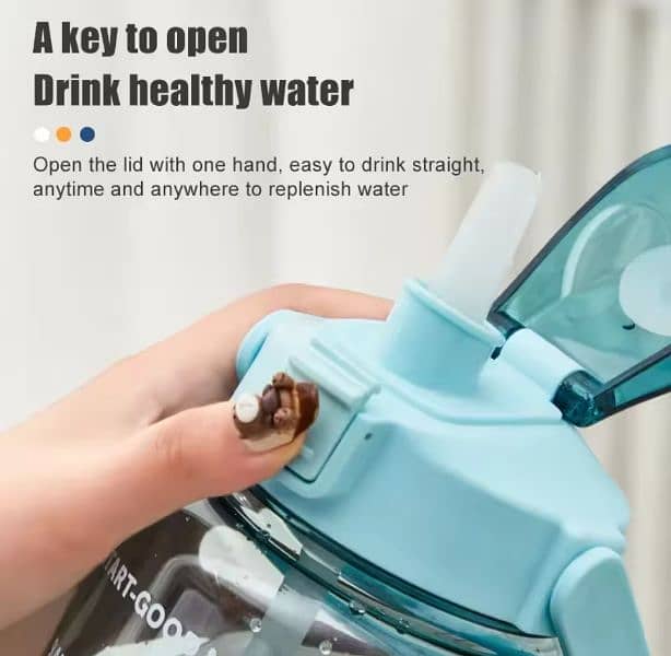 2L portable Waterbottle 3