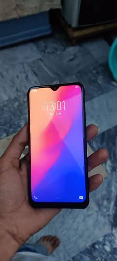 vivo