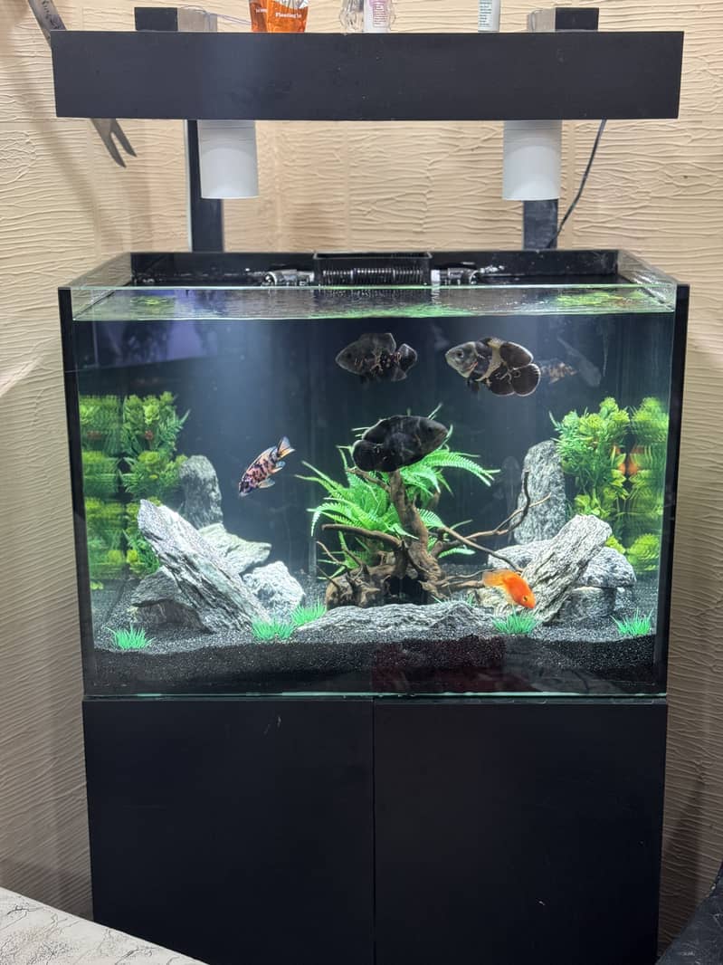 Aquarium with Sum system 0