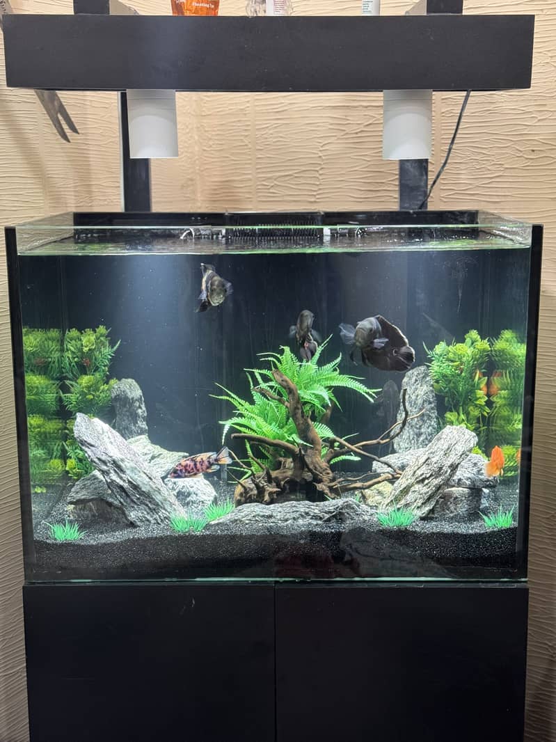 Aquarium with Sum system 1