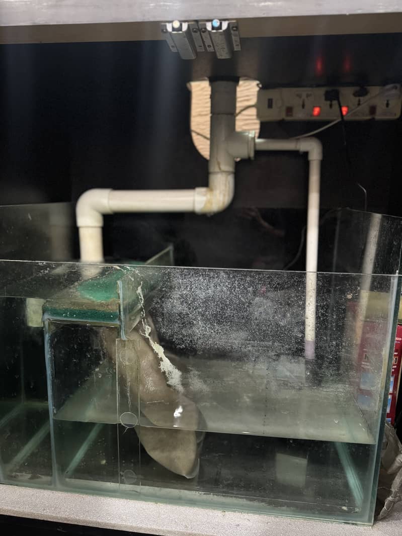 Aquarium with Sum system 2
