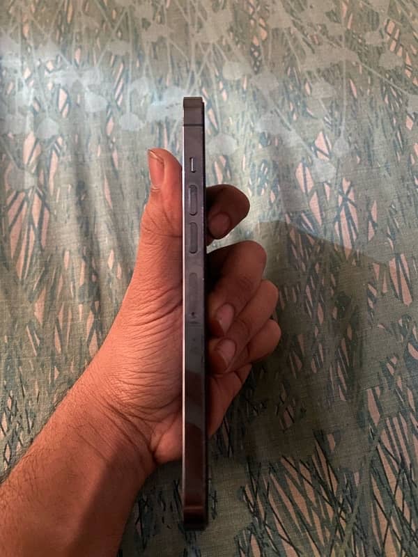 IPhone 13 Pro Max (non pta) 1