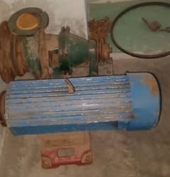 ڈسی