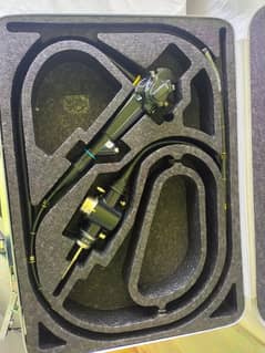 Endoscope