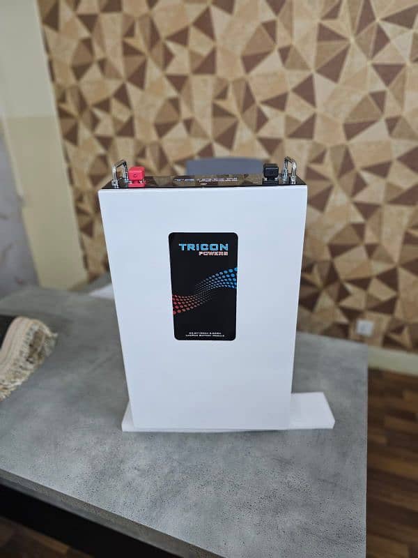 lithium battery 24v 100ah 2