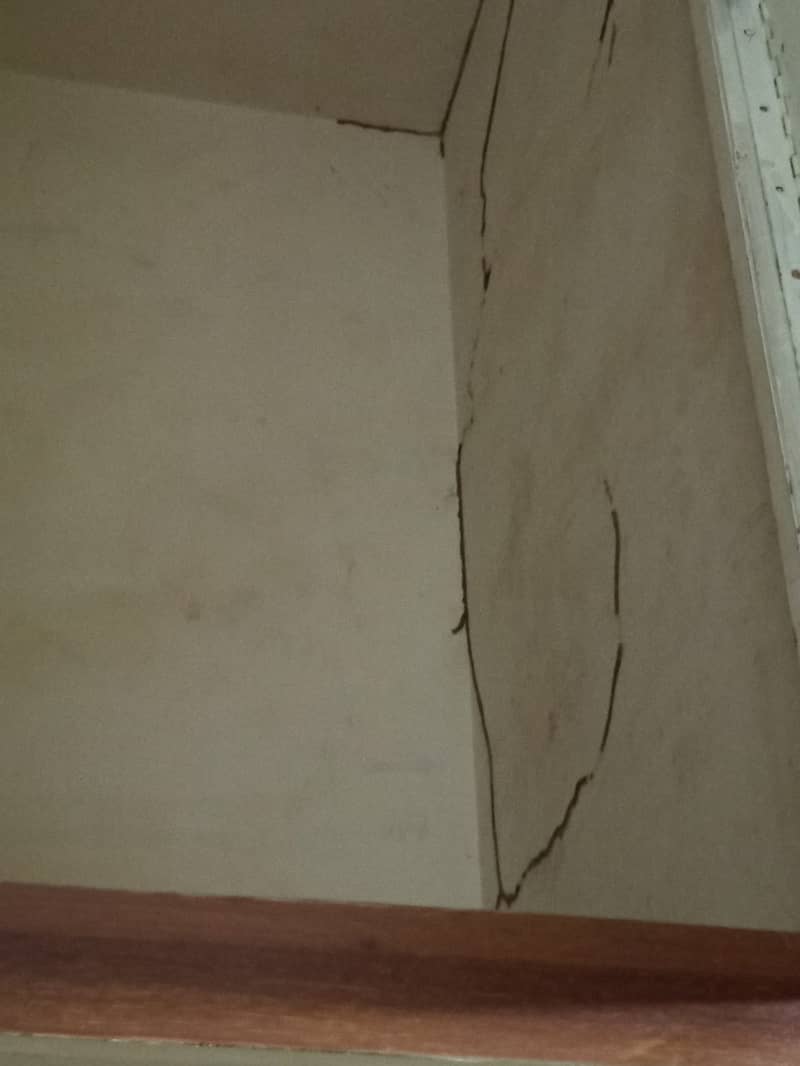 Pest Control/Termite Control/Fumigation Spray/Deemak Control Service 4