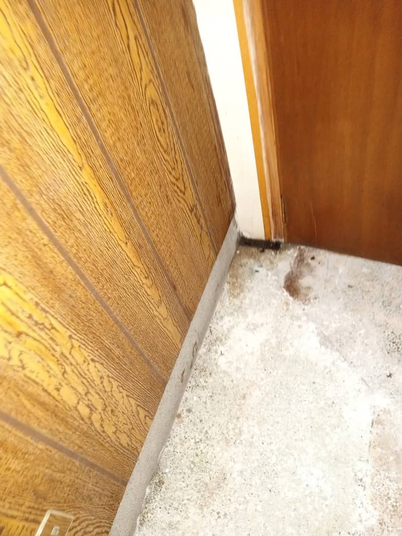 Pest Control/Termite Control/Fumigation Spray/Deemak Control Service 7