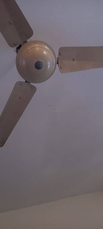 ceiling fan 0
