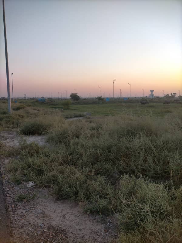 One Call Deal-Plot For Sale 1