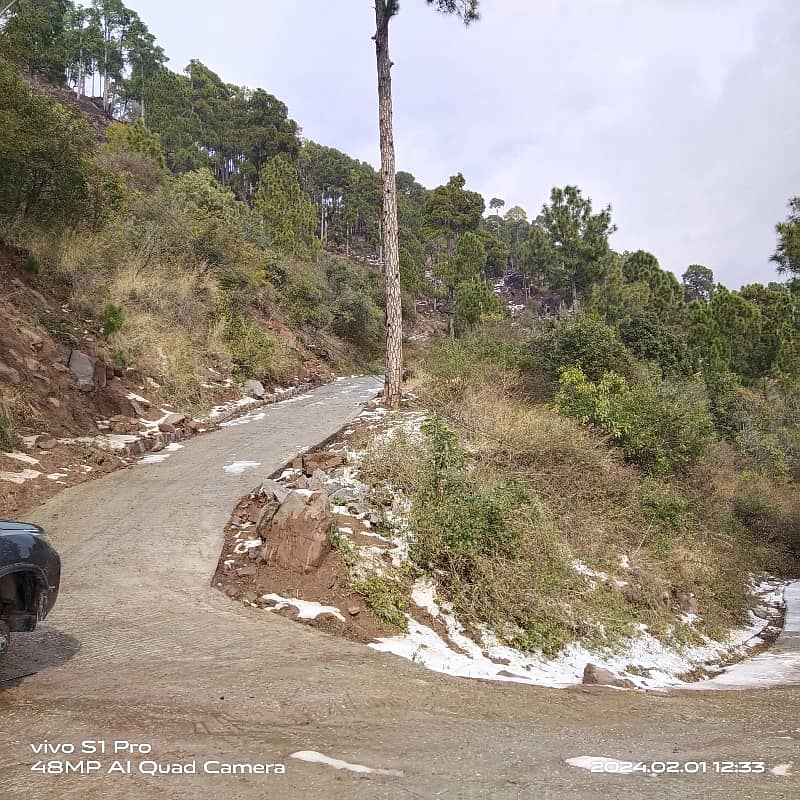 Plot For Sale 6
