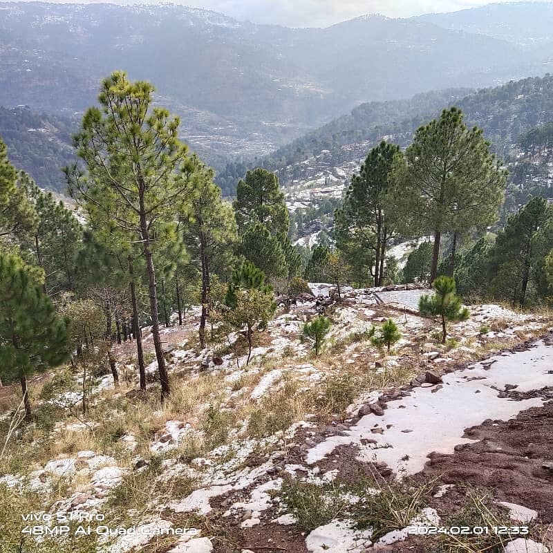Plot For Sale 7