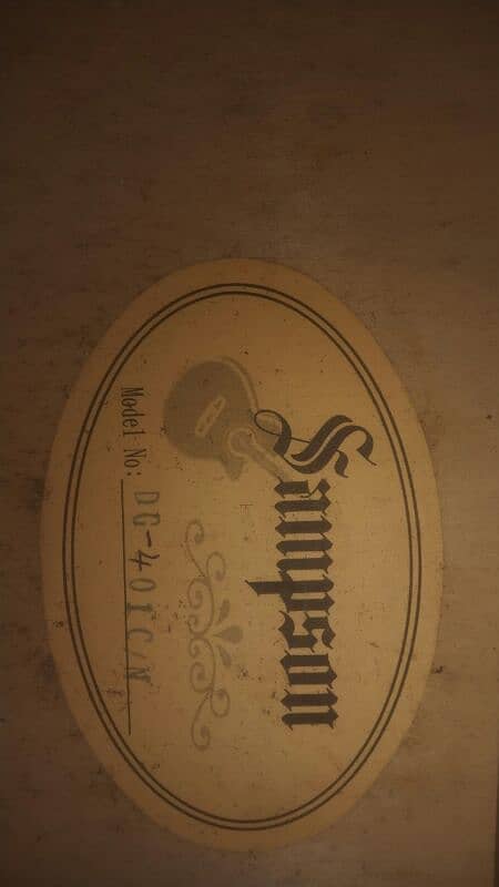 Samspson Original Guitar with copper string 1