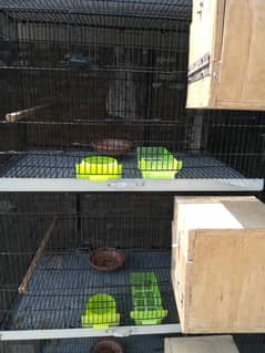 Cage