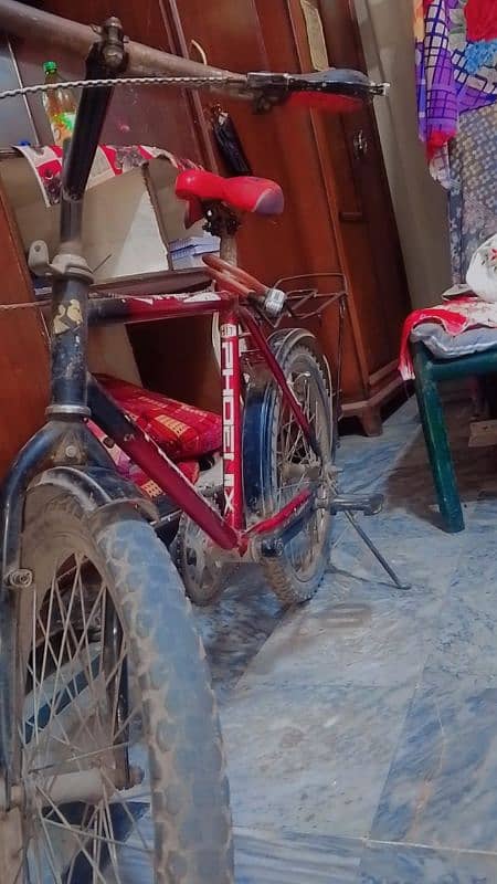 Bicycle/ Cycle Phoenix 0