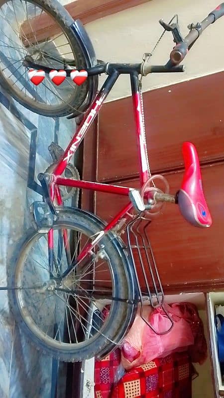 Bicycle/ Cycle Phoenix 1