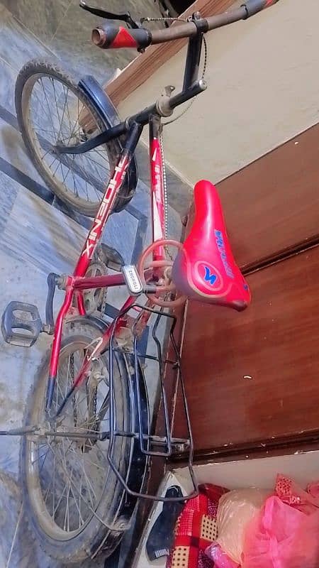 Bicycle/ Cycle Phoenix 2