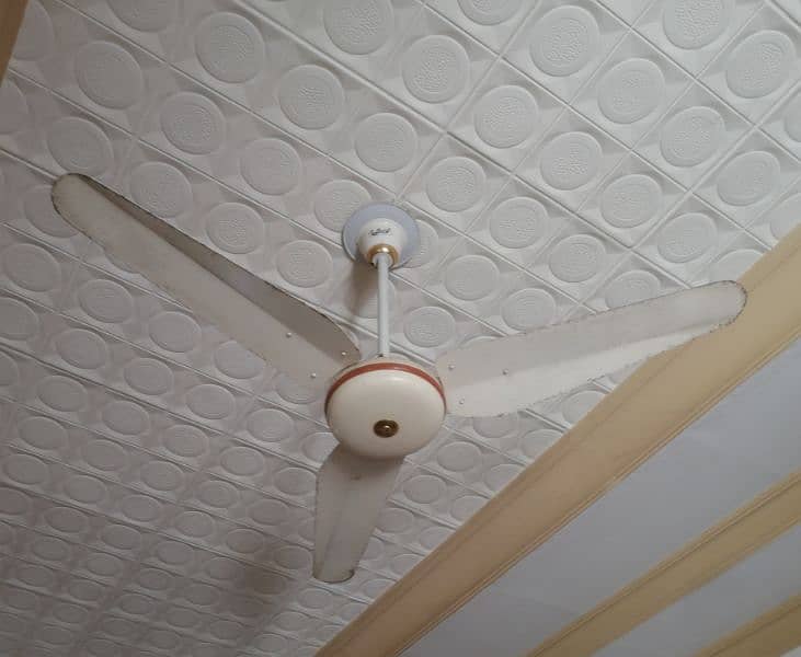 Ceiling Fan 0