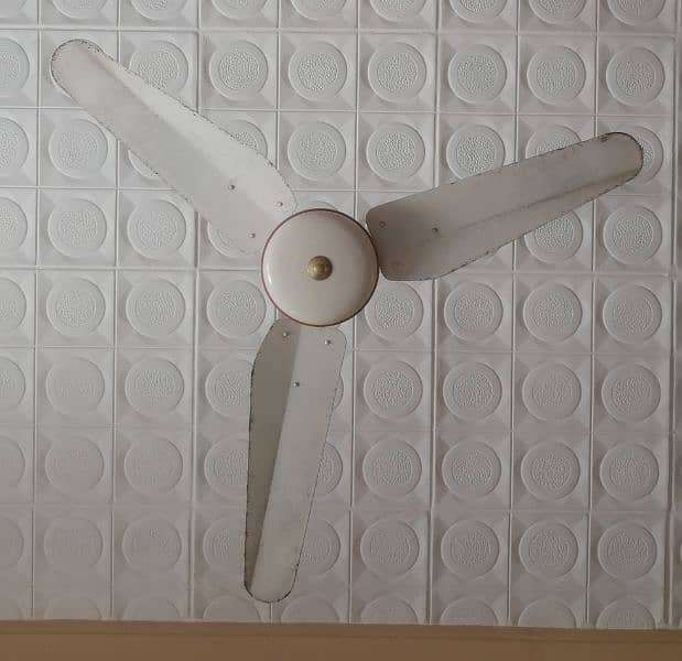 Ceiling Fan 1