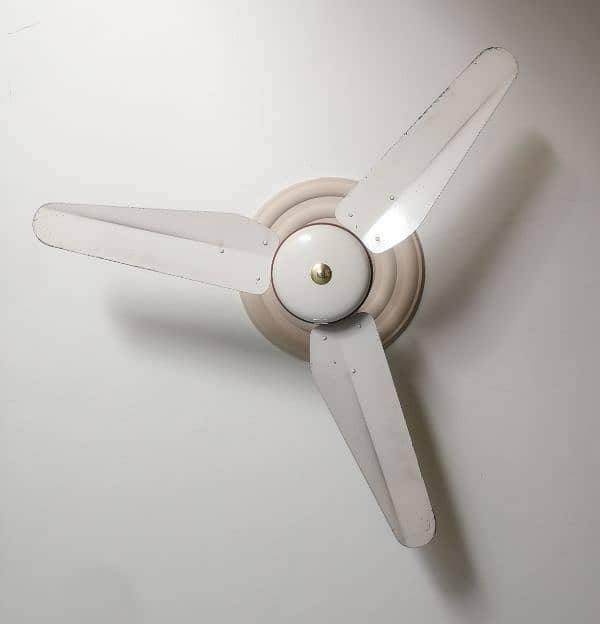Ceiling Fan 2