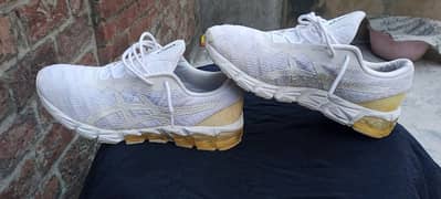 iasics