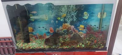 fish tank