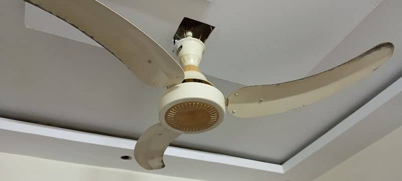 Sonex Ceiling Fan white color heavy, 56 inch - FANYC EDITION 2