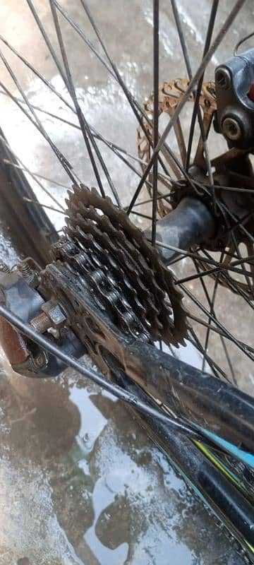 Cobalt bicycle for sale 2