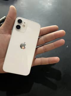 12 mini