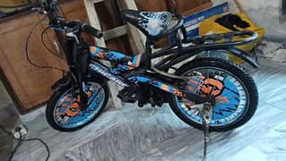 Chicago sports cycle for sale