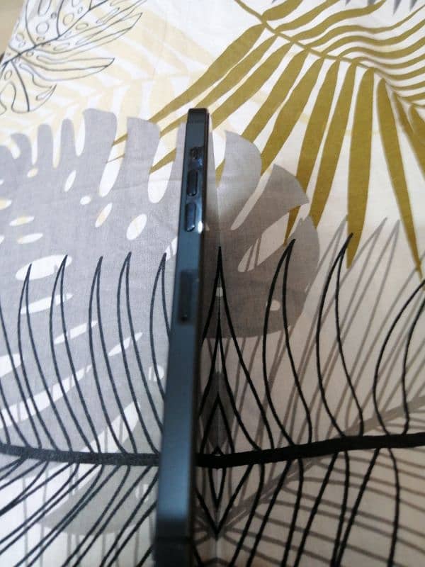 Iphone 12 pro max 2