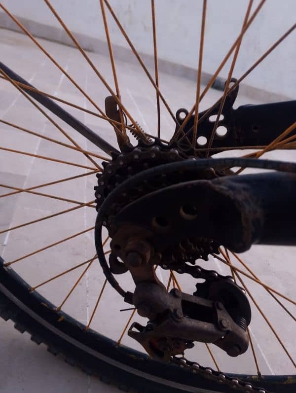 GEAR CYCLE 6