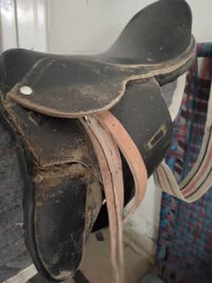 horse saddle
