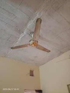 fan for sale