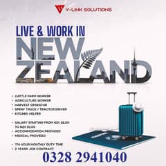 work permit