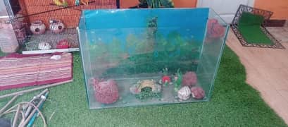 aquarium with accessories