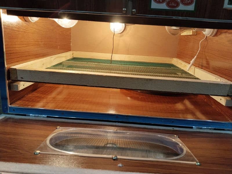 100 Eggs manual incubator machine 2