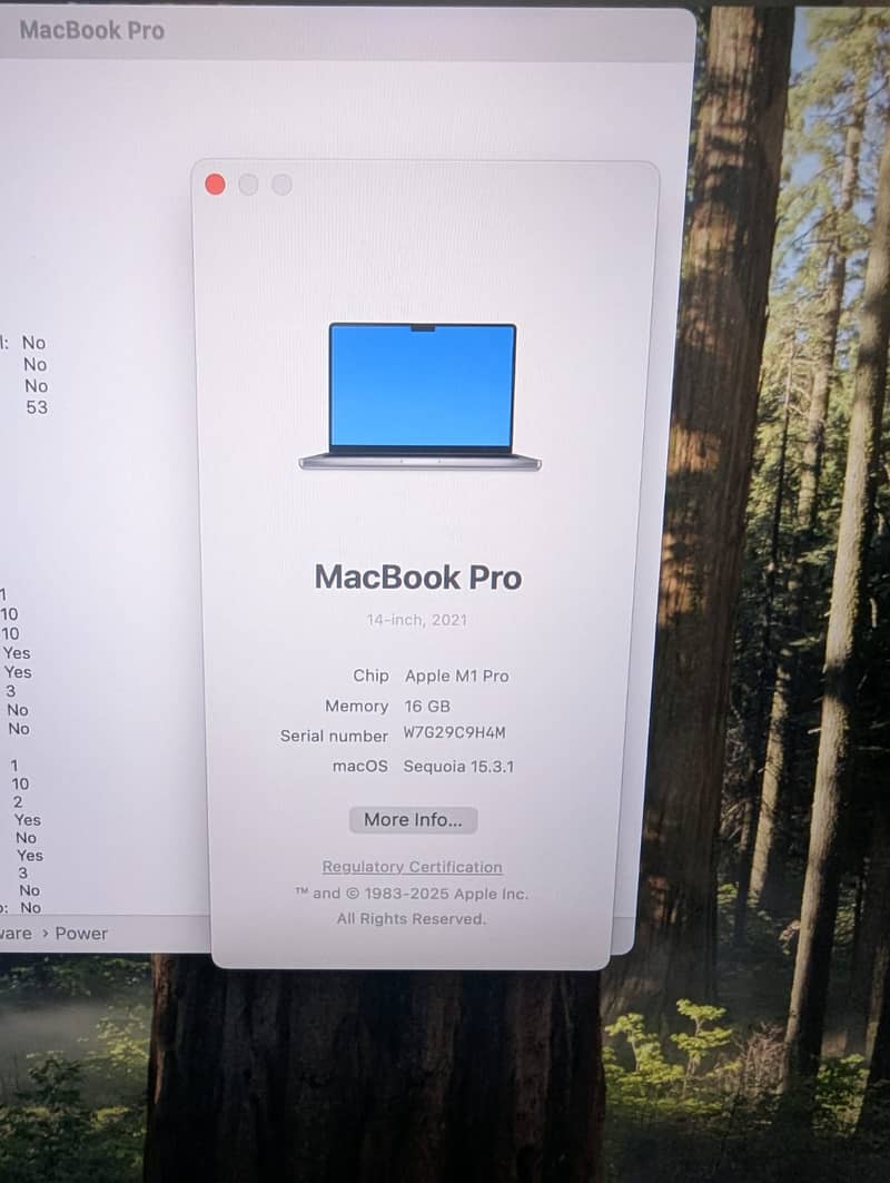 Apple MacBook Pro M1 2021 / Apple  MacBook Pro / MacBook Pro M1 3