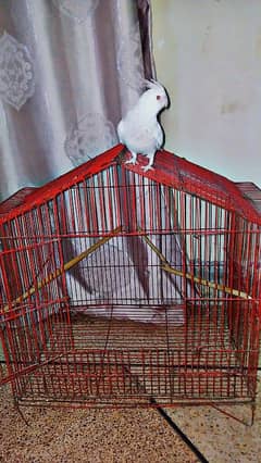 Cage