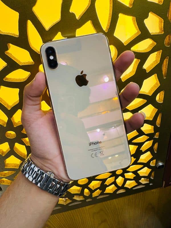iPhone Xs Max 0
