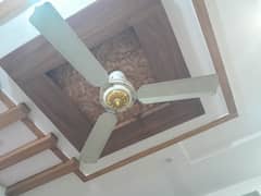 Cealling Fan