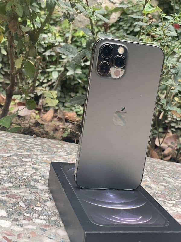 iphone 12 pro sim working 256 gb very good condition 10/9 1