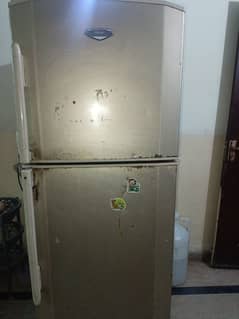 Haier