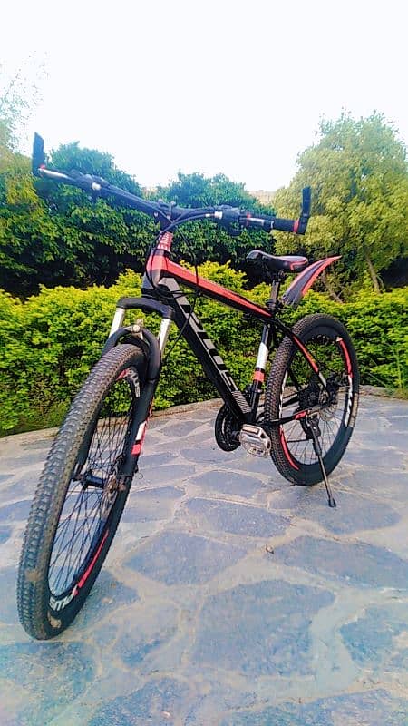 selling bicycle 1