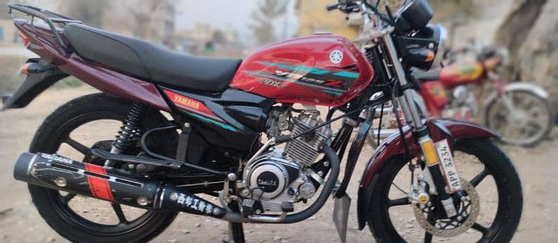 YB 125Z DX 2023 YAMAHA 2
