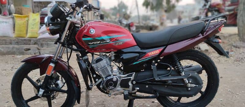 YB 125Z DX 2023 YAMAHA 3