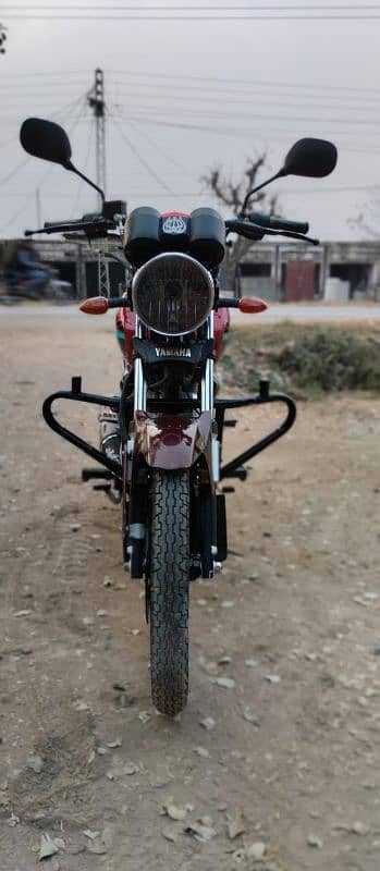 YB 125Z DX 2023 YAMAHA 5